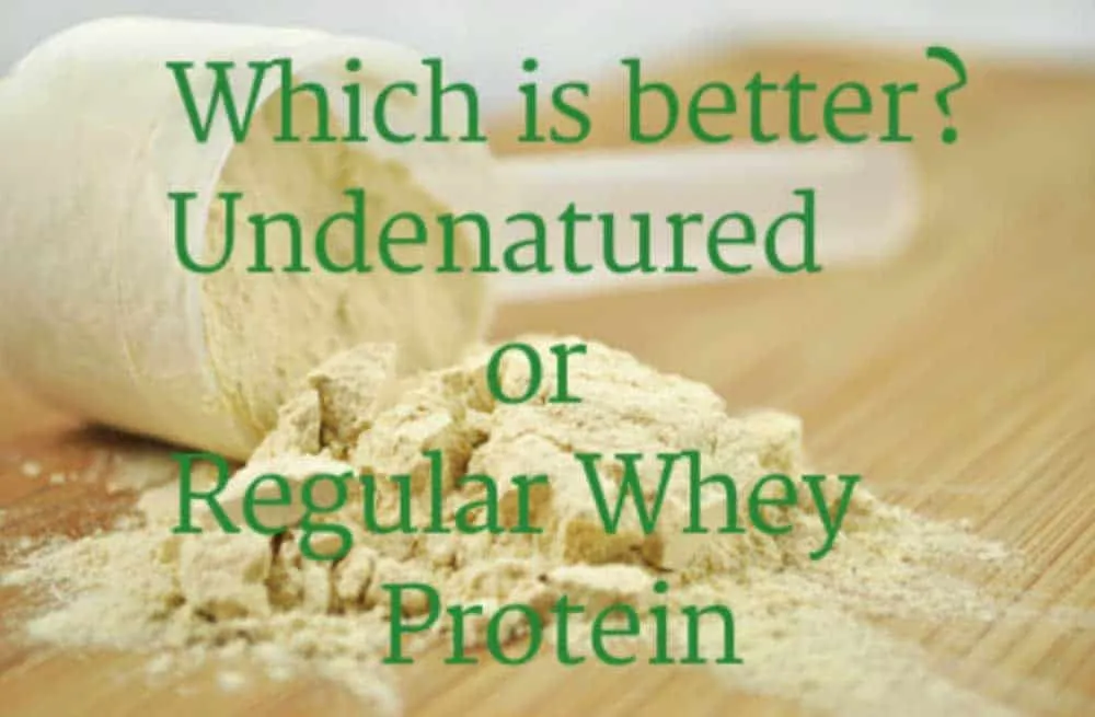 How to Choose the Best Protein Powder