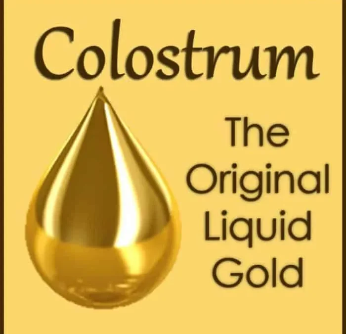 Benefits of Colostrum:  Superfood for Leaky Gut Syndrome