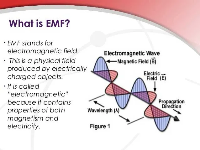 The Dangers of EMF Exposure