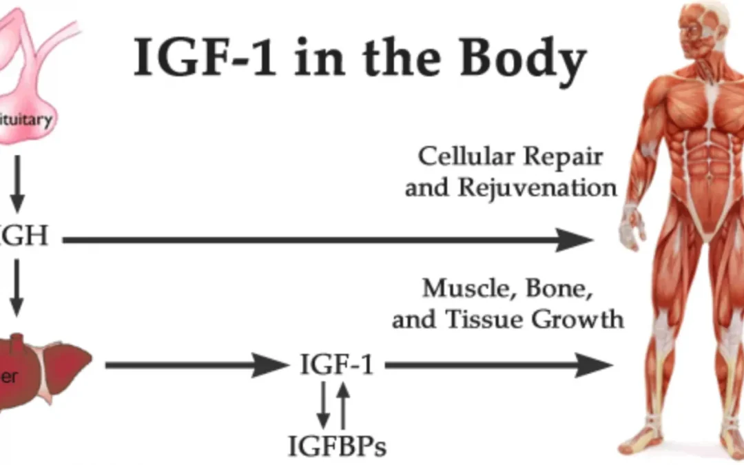 IGF-1 + Tesamorelin